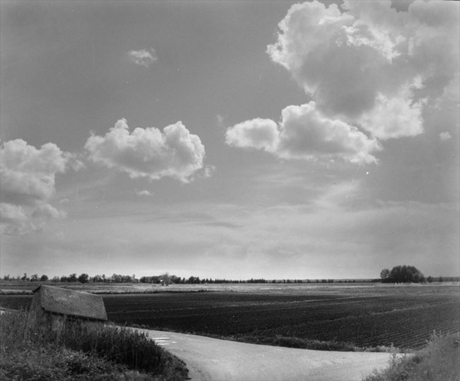 untitled-1_resize_168.jpg