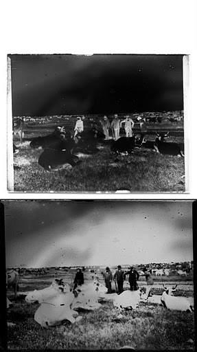 Untitled-1p.jpg