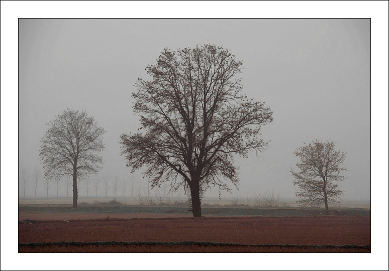 Untitled-2.jpg