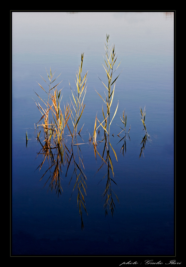 Untitled-6.jpg