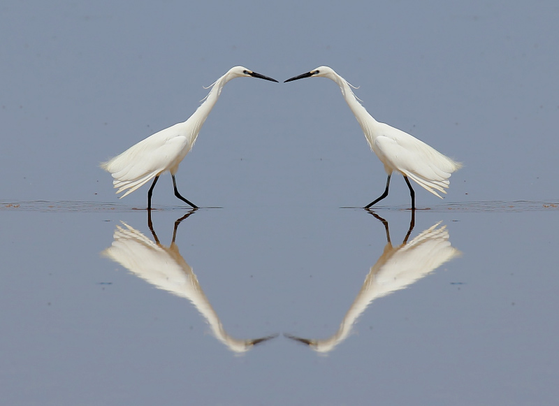 untitled.jpg