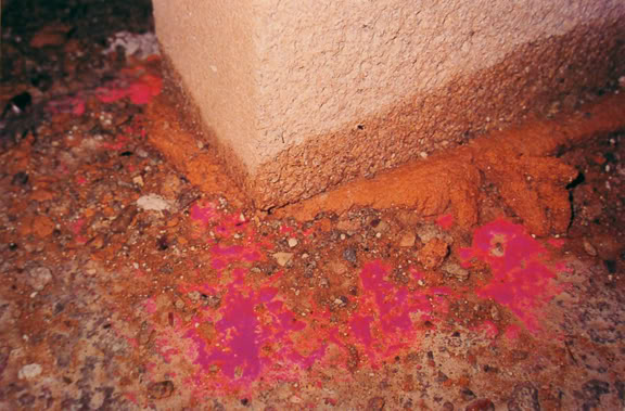 Untitled (Citazione).jpg