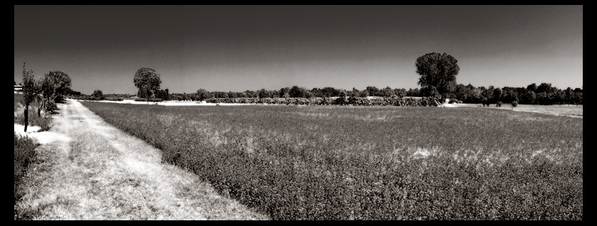 Untitled_Panorama12-copia.jpg