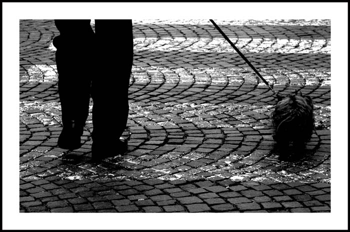 Uomo-e-cane.jpg