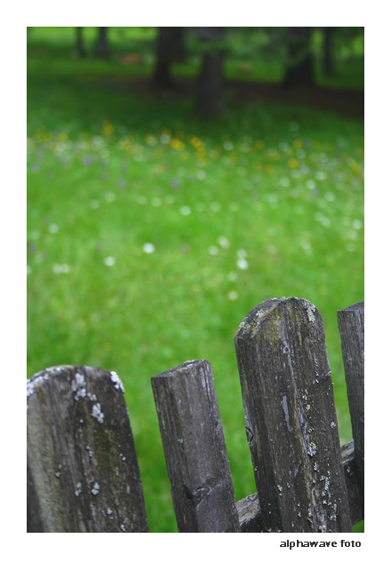 v01.jpg