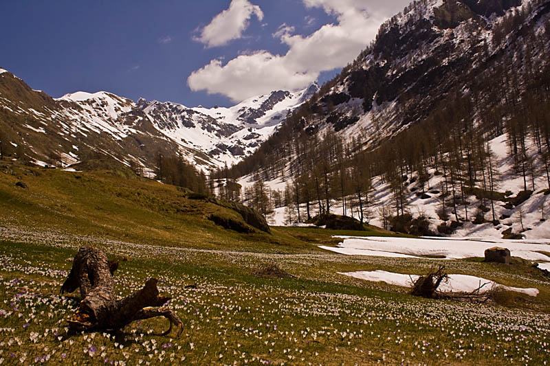 val biandino_seconda prova.jpg