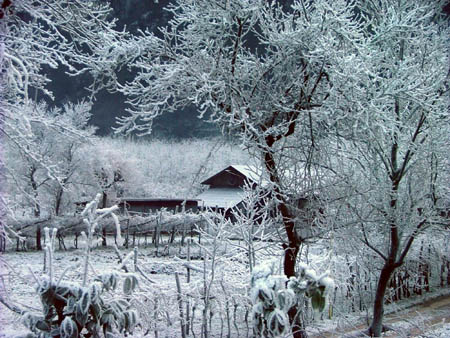 valsugana.jpg