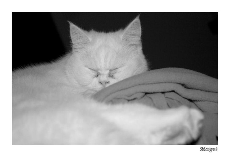 VARIE 049-BW.jpg
