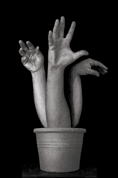 vaso2.jpg
