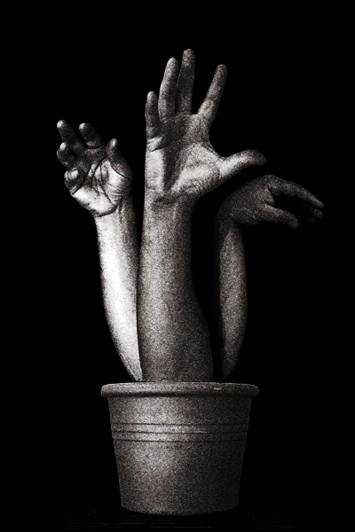 vaso2_982b.jpg