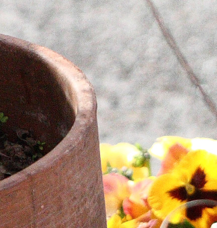 vaso40d.jpg