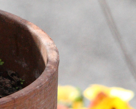 vaso5d.jpg