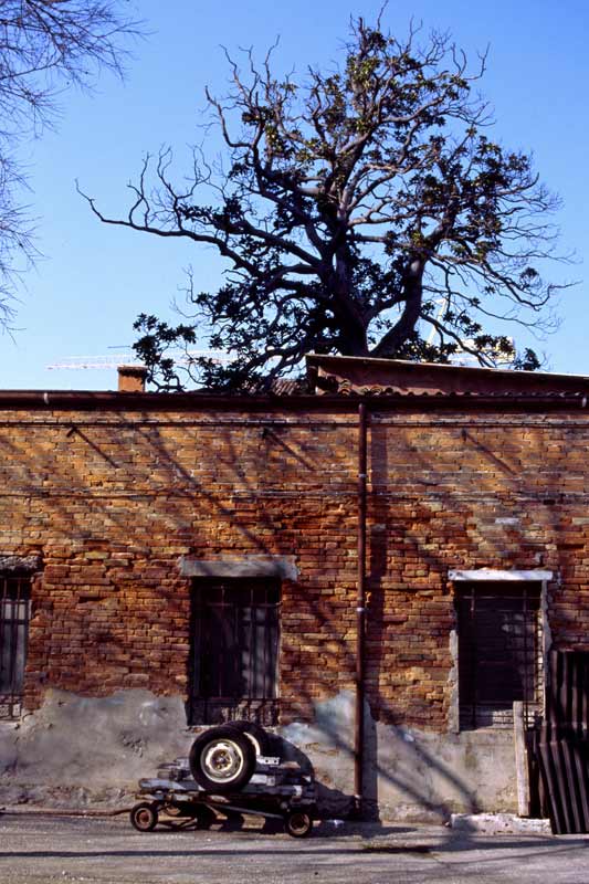 VE5.JPG