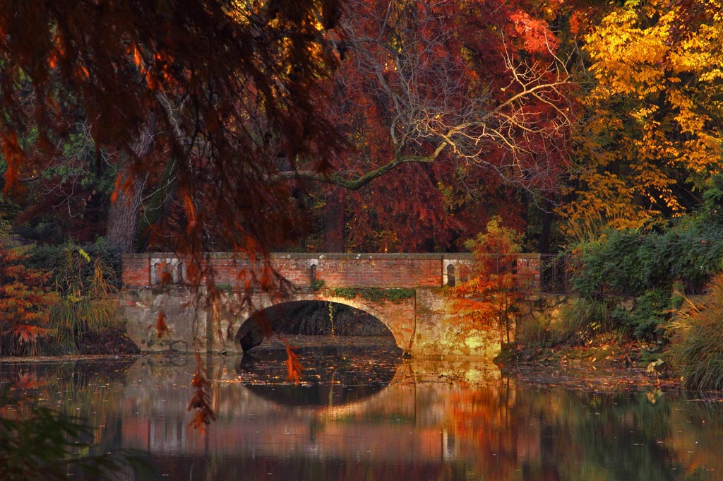 vecchio-ponte.jpg