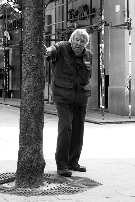 vecchio_albero_01_BW_800.jpg