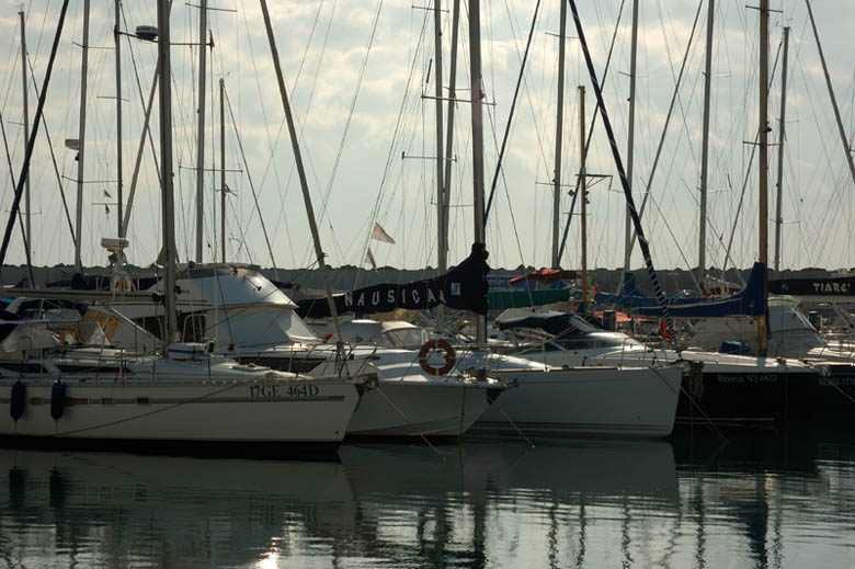 vela_nausicaa.jpg
