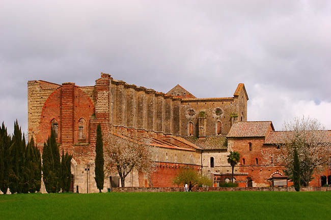 Velvia Copy.jpg