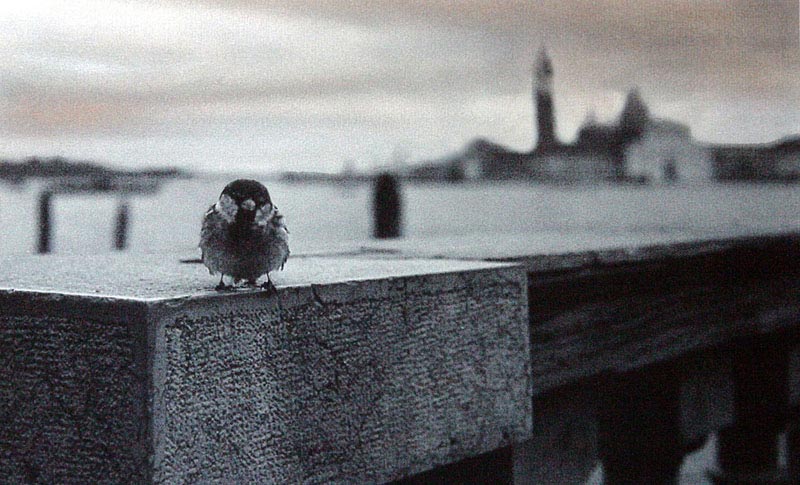venezia-incantata5.psd.jpg