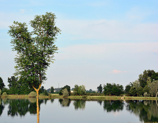 verde1.jpg
