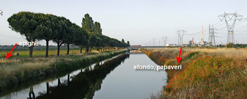 verifica.jpg