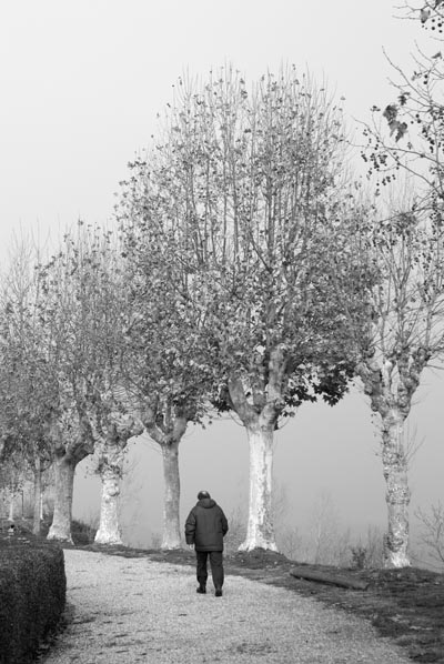 verso la nebbia bn.jpg