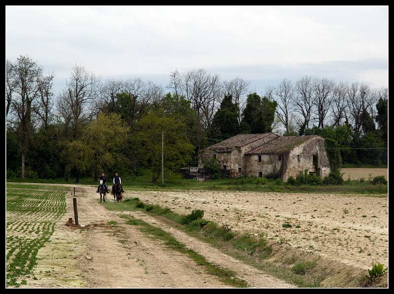 Verso lo stagno 001.jpg