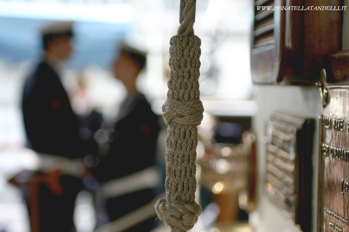 vespucci5-.jpg