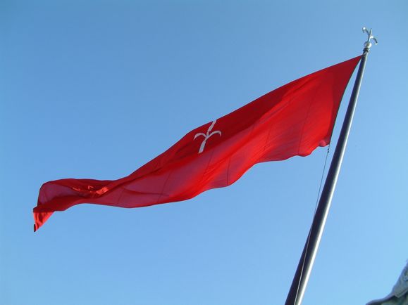 Vessillo di TS2.JPG