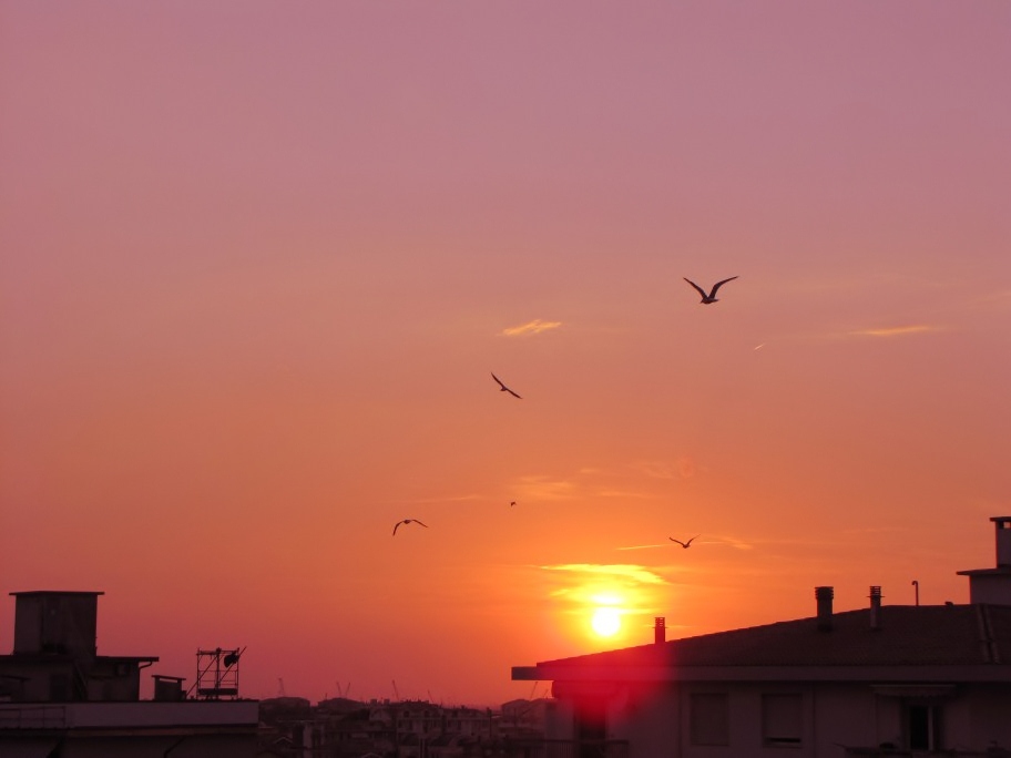 via, verso ogni dove1 (912 x 684).jpg