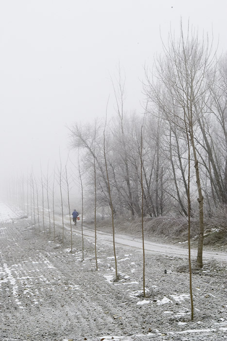 Via Al Ponte, Viadana 2009.jpg