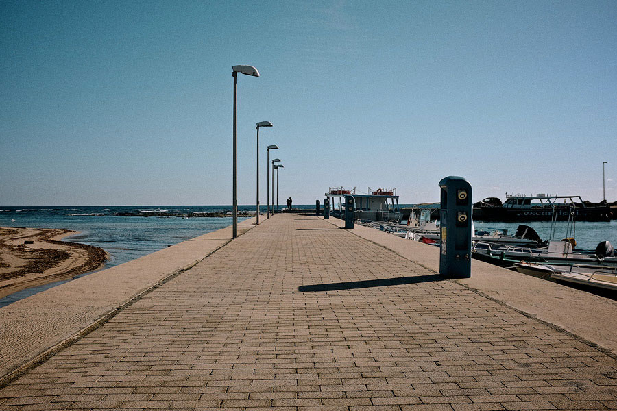 viale.jpg