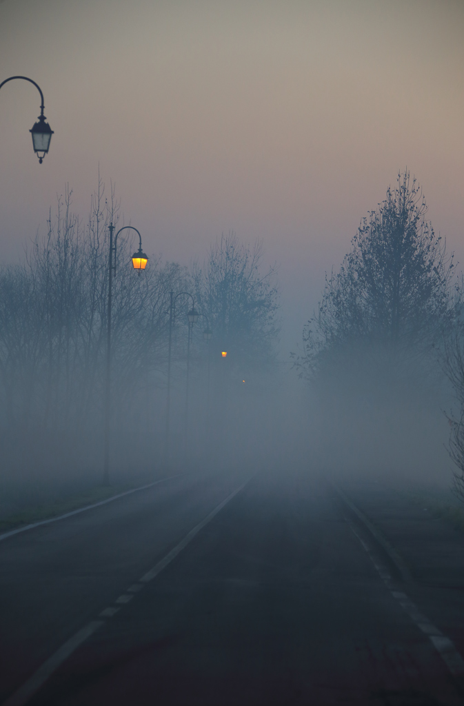 viale.jpg