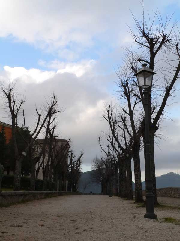 viale_colore.jpg