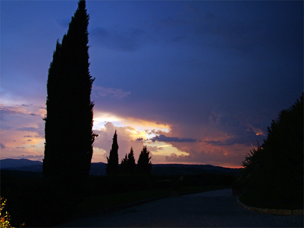 viale con tramonto.jpg