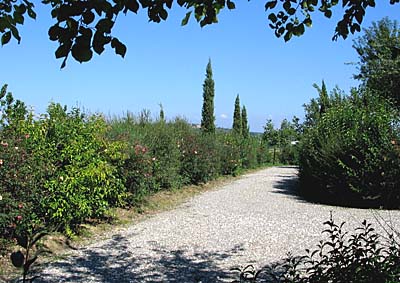 vialetto-residence.jpg