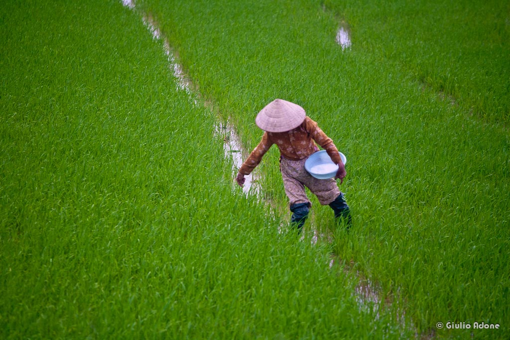Vietnam-017.jpg