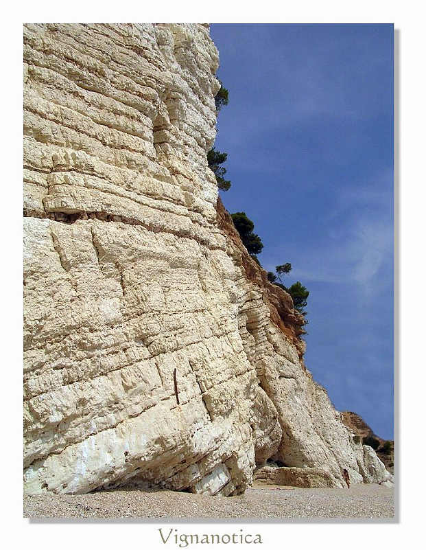 VIGNANOTICA.jpg
