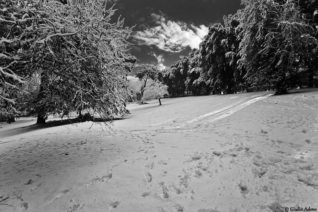 Villa_Borghese-004.jpg