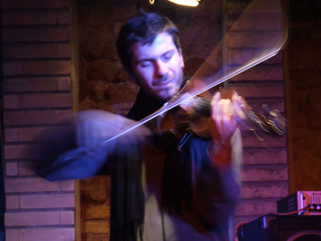 viola.jpg