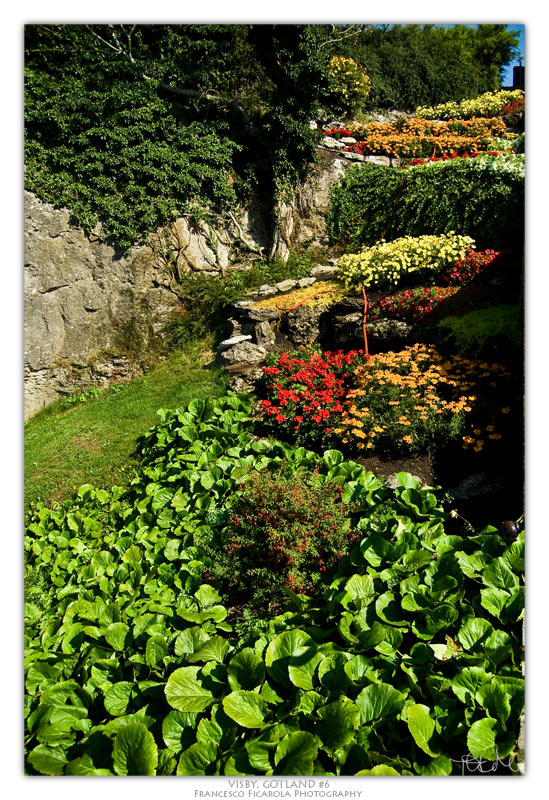 visby_6_800.jpg