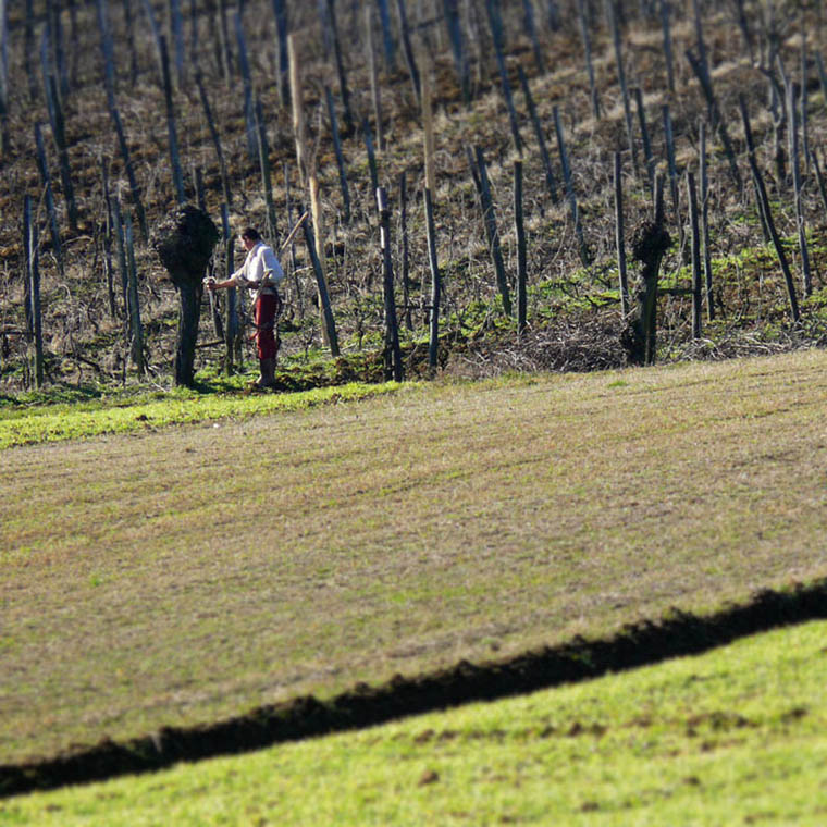 Vita nei campi 1 - inverno 2007-2008.jpg