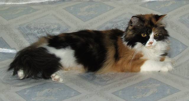 Viv 09 [640x480].jpg