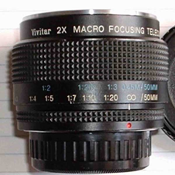 VIVITAEPERPENTAX.jpg