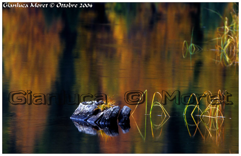 VM-Sasso-acqua-1-f.jpg