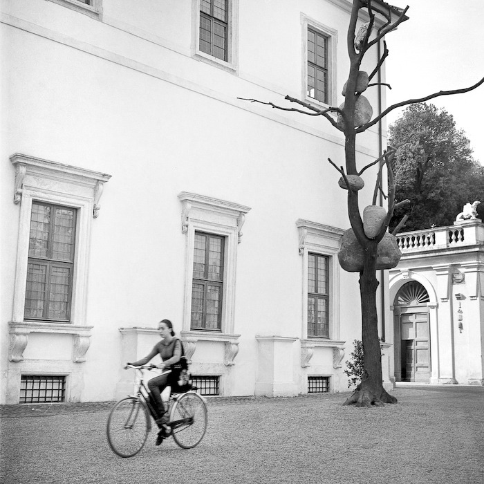 VMD_HP5_2-05-1.jpg