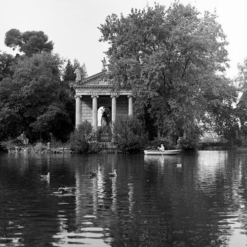 VMD_HP5_2-07-500.jpg