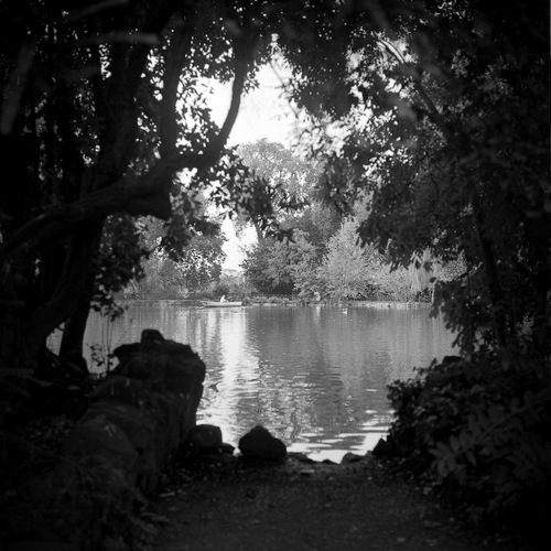 VMD_HP5_2-09-500.jpg