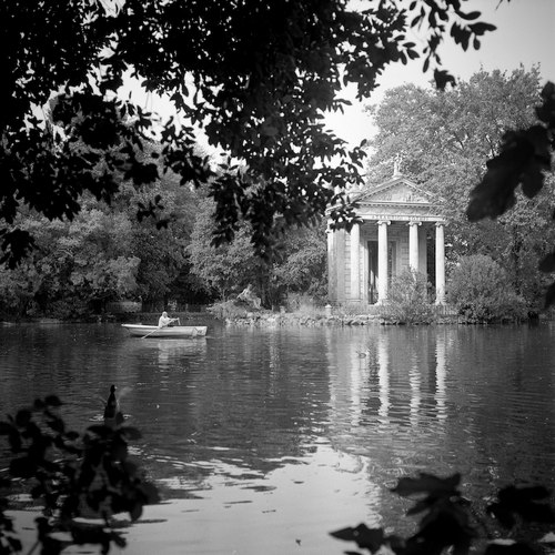 VMD_HP5_2-12-500.jpg