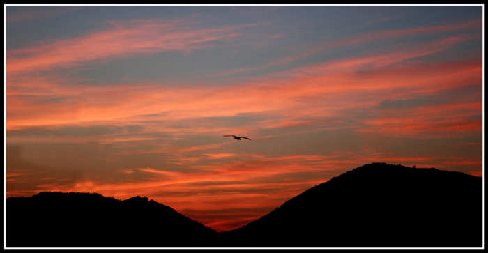 Volando-Verso-Il-Tramonto.jpg