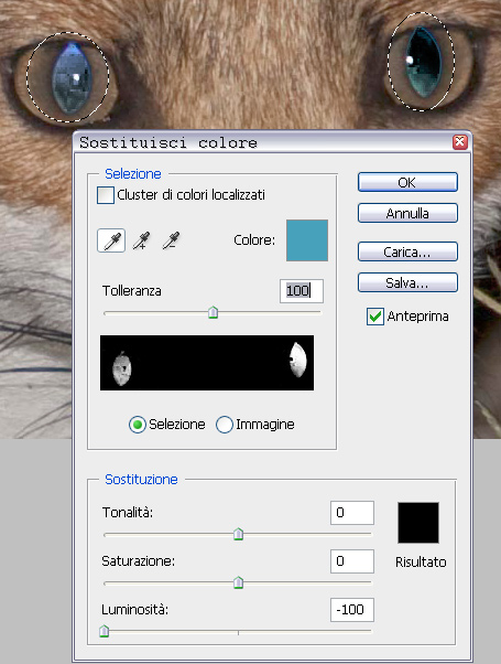 volpocchi-1.jpg